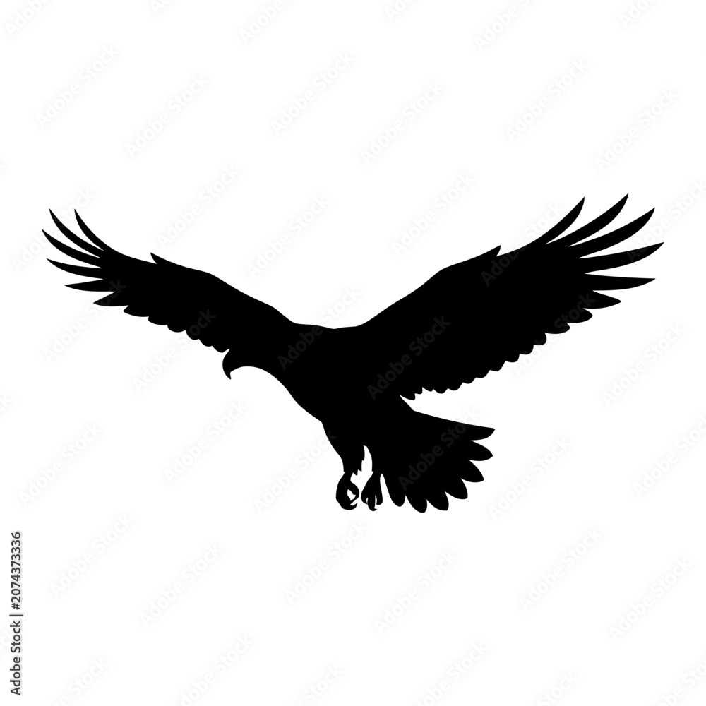 Fototapeta premium Black eagle silhouette, flying bird icon, wildlife symbol, vector graphic isolated on White Background silhouette