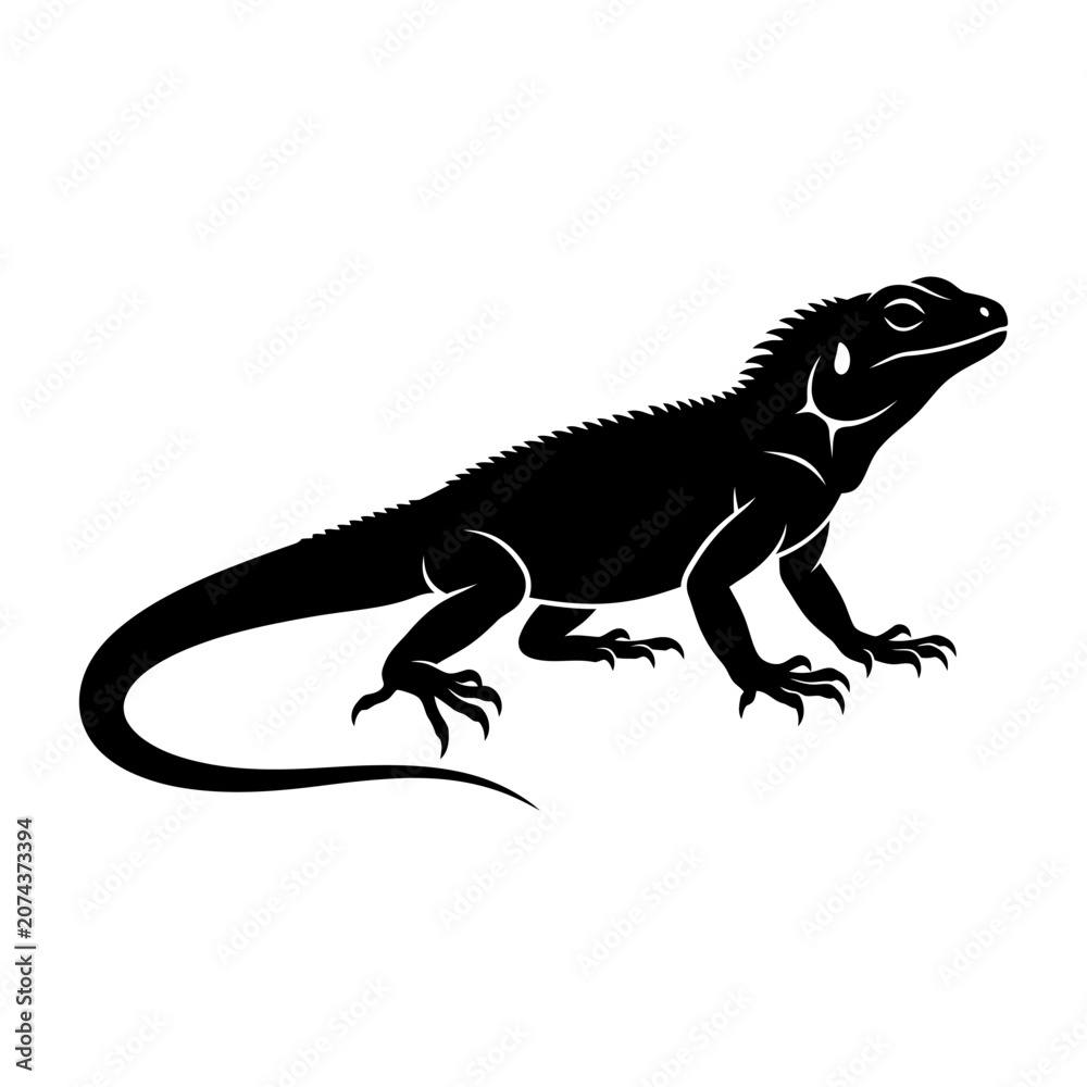 Obraz premium Black lizard silhouette, reptile icon, animal illustration, wildlife graphic isolated on White Background silhouette
