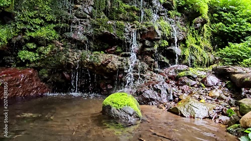 神奈川県箱根で撮影した千条の滝