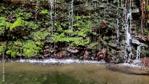 神奈川県箱根で撮影した千条の滝