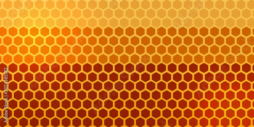 Tableau sur toile Beautiful honeycomb with bees close-up