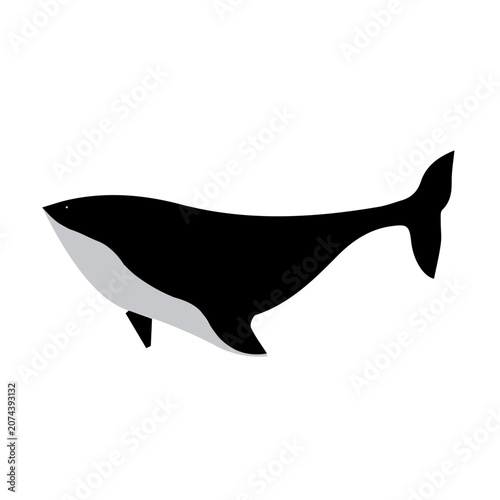 Dolfin vector design