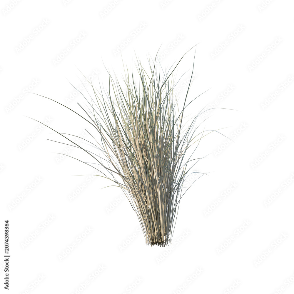 Fototapeta premium Grass bush isolated transparent background photo realistic 3d rendering PNG 16 bit with alpha channel 