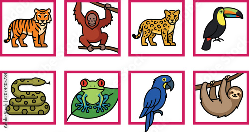 Photography Rainforest Animals Line Art Card Set Featuring Flat Cartoon Tiger Orangutan Leop