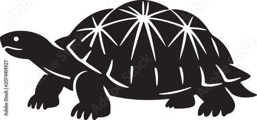 see tortois vector