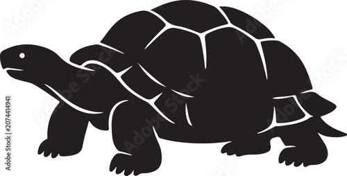 see tortois vector