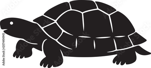 see tortois vector