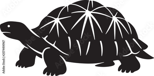 see tortois vector