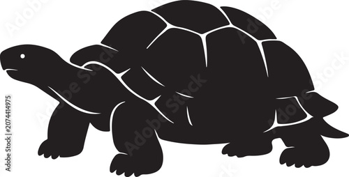 see tortois vector