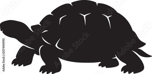 see tortois vector