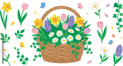 Cuadro en lienzo Beautiful spring flower basket vector set with colorful tulips daffodils daisies