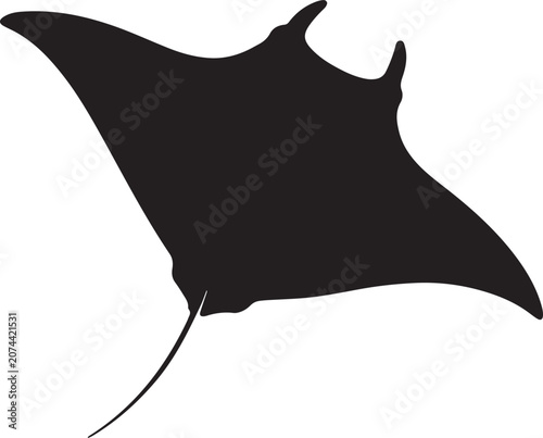see fish vector