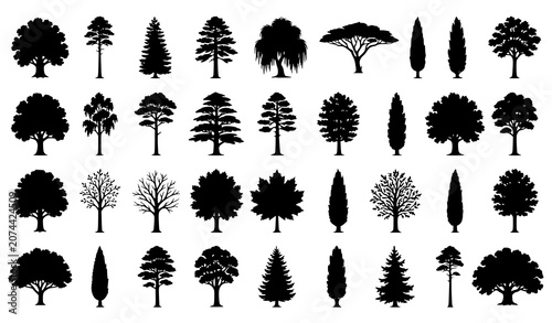 Bild auf Leinwand Landscape Tree Silhouette Collection with Natural Forest Shapes Vector Illustrat