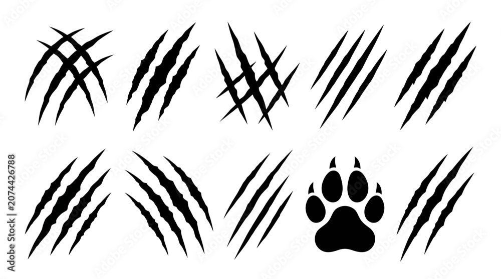 Fototapeta premium Black and White Cat Paw Print Pattern with Bamboo Leaves Floral Nature Silhouette Vector Illustration for Asian Inspired Design and Decoration