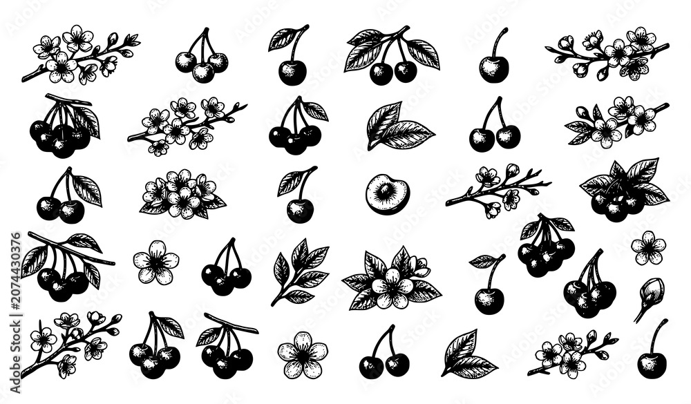 Fototapeta premium Black Silhouette Cherry Branch and Blossom Icon Set with Berries, Leaves, and Flowers for Nature and Design Projects