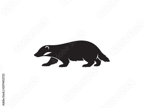 Black silhouette of a european badger walking on white background with silhouette