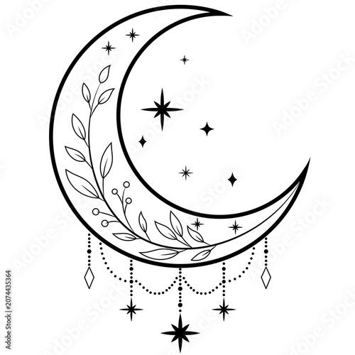 Crescent Moon Botanical Black Line Art Transparent PNG with Stars