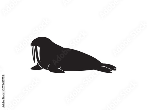 Black silhouette of a resting walrus with large tusks silhouette wildlife isolated