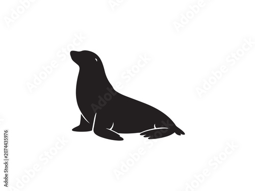 Black silhouette of a sitting seal on white background with silhouette wildlife isolated