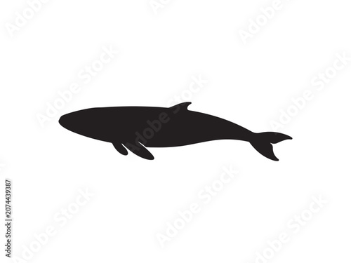 Black silhouette of a baleen whale swimming with silhouette wildlife swimming creature