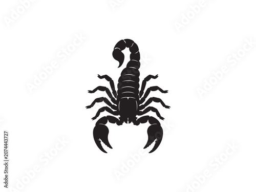 Minimalist black silhouette icon of a dangerous scorpion with scorpion, silhouette