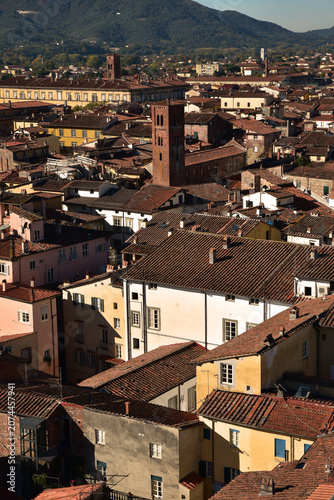 Toits à Lucca. Italie