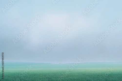 Serene landscape with a vast green field under a misty, overcast sky