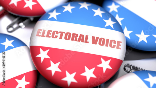 Fotografie Electoral Voice in the USA