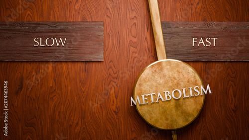 Принти на полотні Metabolism swings between slow and fast