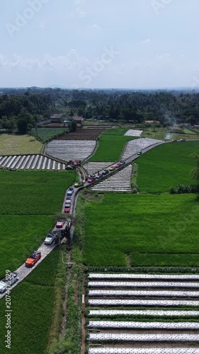 Aerial view of a traffic jam on a narrow rural road winding through lush green agricultural rice fields in the countryside