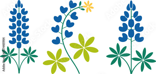 Vector illustration of blue lupine flowers with distinct green leaves, showcasing elegant botanical patterns for nature-themed design projects.