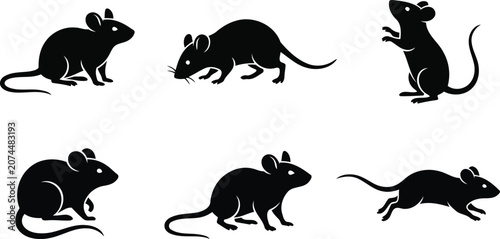 Photos A diverse collection of elegant black mouse silhouettes in various dynamic poses, isolated on a clean white background for versatile design projects