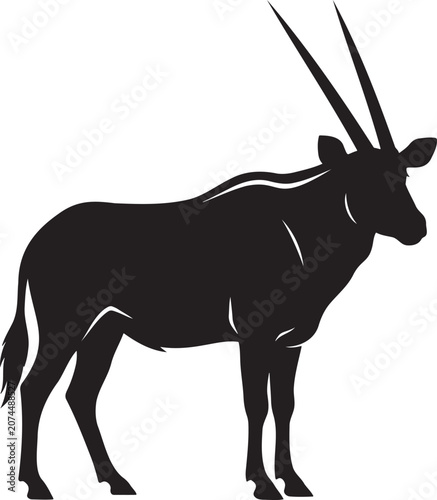 Photography African oryx gemsbok antelope silhouette vector illustration standing in full bo