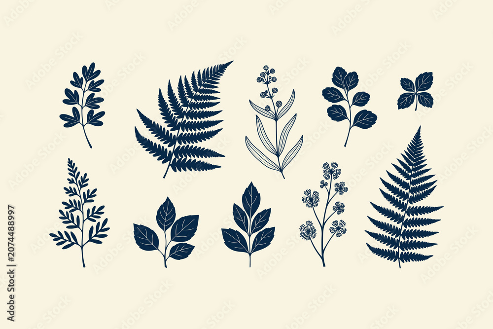 Obraz premium Collection of Hand Drawn Dark Blue Floral Elements and Fern Leaves Isolated on Neutral Background