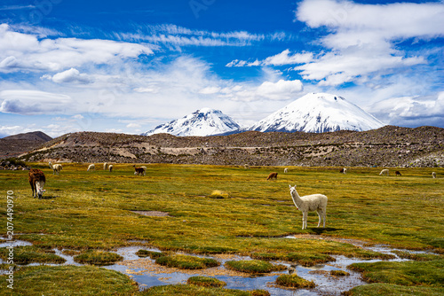 Foto Andean forms