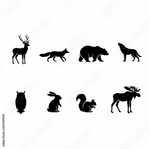 Photography wild animal silhouettes