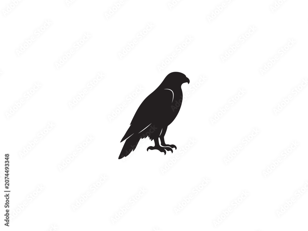Fototapeta premium Black silhouette of a cassowary standing on a plain white background with cassowary