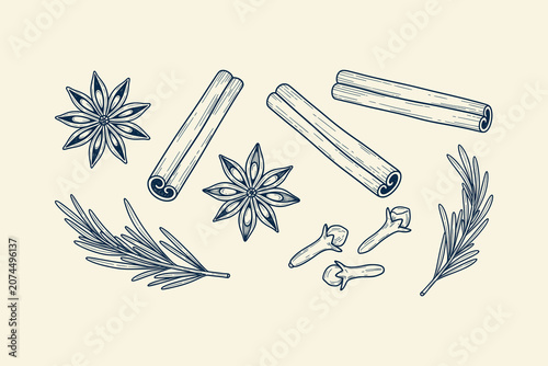 Foto Hand-drawn vintage set of culinary spices featuring star anise, cinnamon sticks, rosemary, cloves