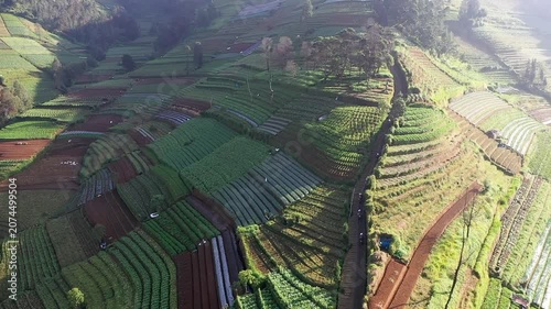 Drone aerial view of terraced farmland on a hillside with warm morning light, visible pathways, and a peaceful rural atmosphere.


