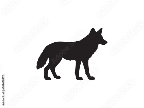Black silhouette of a standing coyote isolated on white background with silhouette