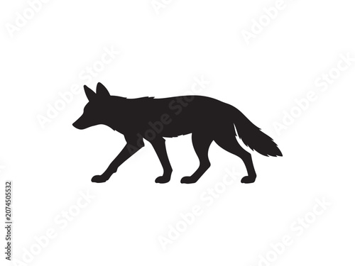 Black silhouette of a walking coyote isolated on white background with silhouette