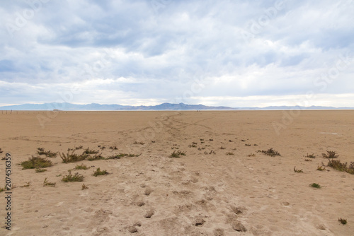 Sand beach at White Rock Bay, Utah