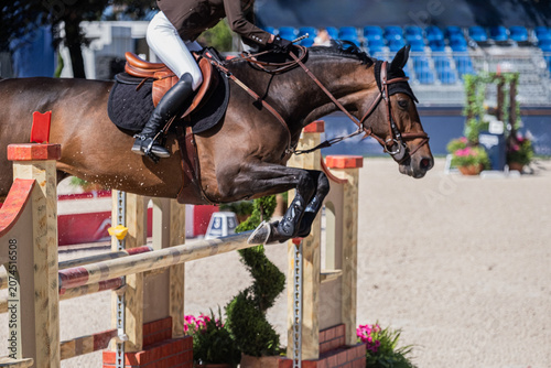 Bay Sport Horse Clearing Jump During Show Jumping Competition