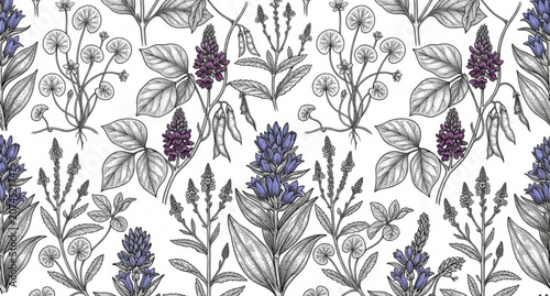 Canvas Print Botanical seamless pattern with medicinal and cosmetic plants vector illustratio