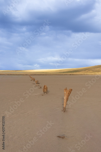 Weathered fence posts in the sand