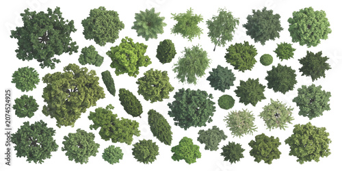Принти на полотні Collection of various green trees seen from above for architectural landscape de