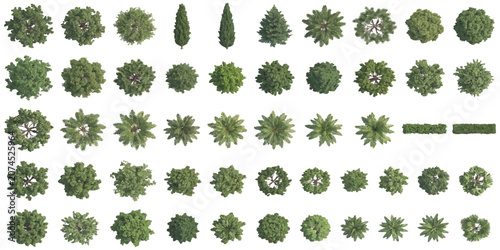 Photos Set of top view green trees and bushes for architecture landscape design project