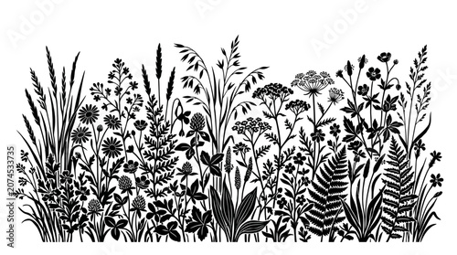 Canvas Print Cad tree line Black and white floral border, vector wildflowers, botanical illus