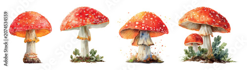 Schilderij op canvas Amanita muscaria mushrooms watercolor illustrations presenting a collection of f