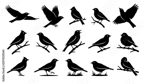Cuadro en lienzo Black and white lark bird silhouette vector set